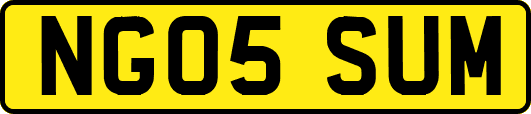 NG05SUM