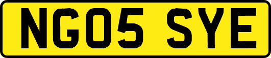 NG05SYE