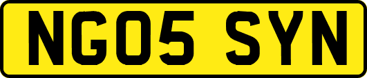 NG05SYN