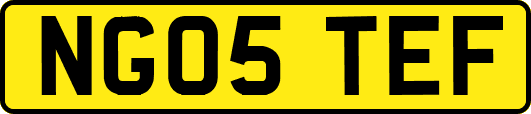 NG05TEF