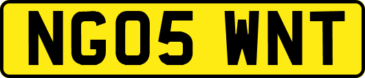 NG05WNT