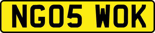 NG05WOK