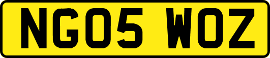 NG05WOZ