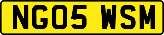 NG05WSM