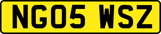 NG05WSZ