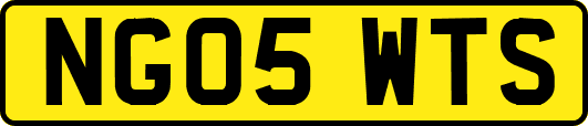 NG05WTS