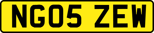 NG05ZEW