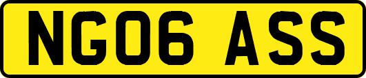 NG06ASS