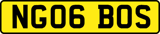 NG06BOS