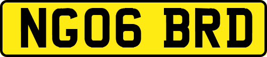 NG06BRD