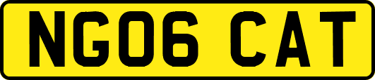 NG06CAT
