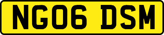 NG06DSM