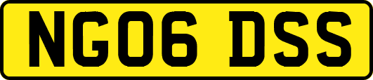 NG06DSS