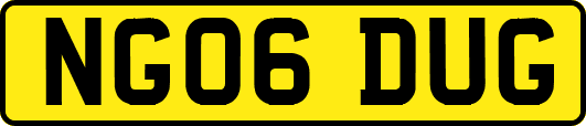NG06DUG