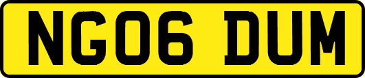 NG06DUM