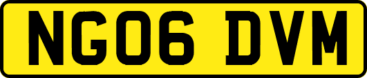 NG06DVM