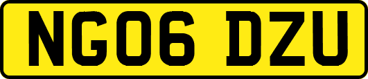 NG06DZU