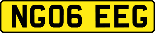 NG06EEG