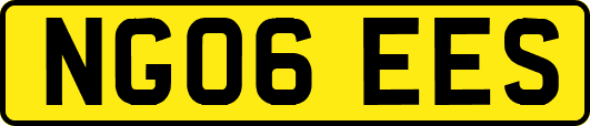 NG06EES
