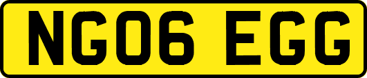 NG06EGG