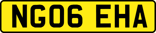 NG06EHA
