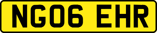 NG06EHR