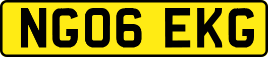 NG06EKG