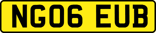 NG06EUB