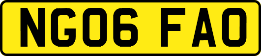 NG06FAO