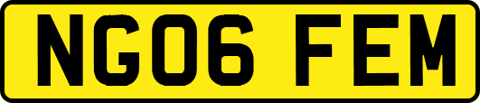 NG06FEM