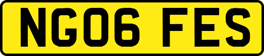 NG06FES