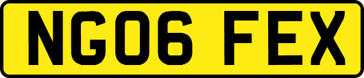 NG06FEX