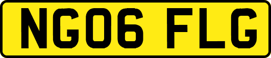 NG06FLG