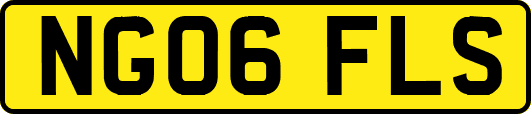 NG06FLS