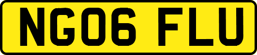 NG06FLU