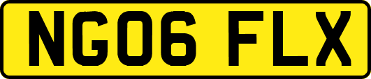 NG06FLX