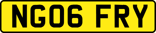 NG06FRY