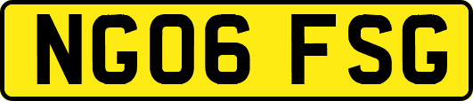 NG06FSG