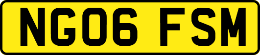 NG06FSM