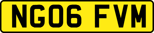 NG06FVM