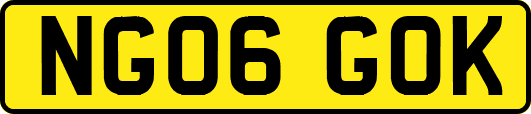 NG06GOK