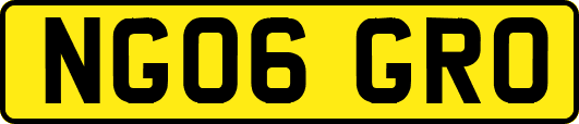 NG06GRO