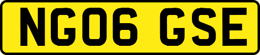 NG06GSE