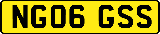 NG06GSS