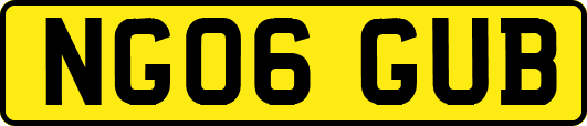 NG06GUB