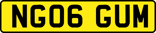 NG06GUM