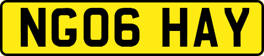 NG06HAY
