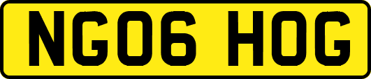 NG06HOG