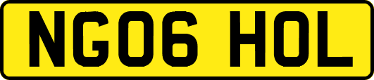NG06HOL