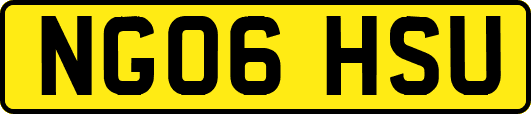 NG06HSU